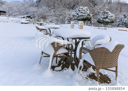 雪に覆われたぎふワールドローズガーデンの屋外カフェ席と冬の庭園風景 135898854