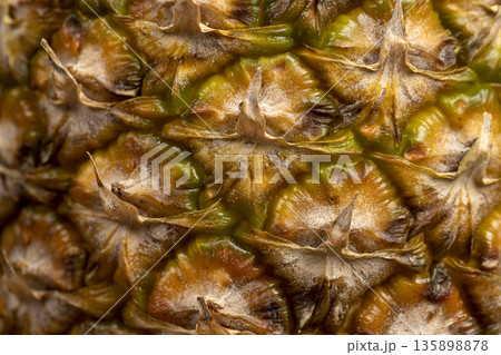 juicy ripe pineapple close-up, yellow and green hard peel of ripe pineapple juicy ripe pineapple close-up, yellow and green hard peel of ripe pineapple 135898878