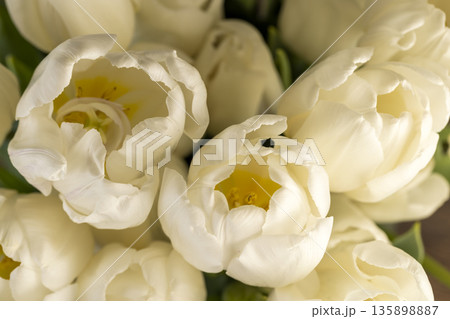 a bouquet of white fresh tulips in spring, beautiful white flowers tulips collected in a gift bouquet for the holiday 135898887