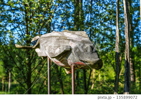 Kranzberg , Germany - May 01, 2025: Asia garden in the World Forest, Weltwald in Freising, Bavaria, Germany. Kranzberg , Germany - May 01, 2025: Asia garden in the World Forest, Weltwald in Freising, Bavaria, Germany. 135899072