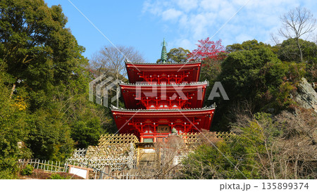 岐阜公園三重塔 岐阜公園三重塔 135899374