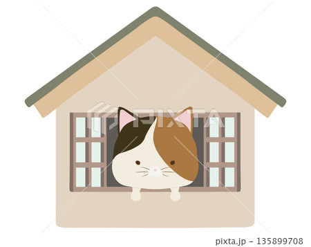 家にいる三毛猫 135899708
