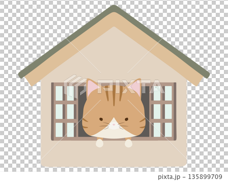 Brown tabby cat at home Brown tabby cat at home 135899709