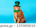 Funny ginger shorthair cat in a fancy dress. Cat in a leprechaun costume. St. Patrick's Day 135900010