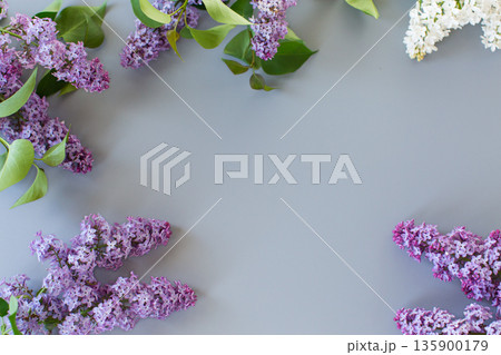Lilac close-up from above on a gray background for inscriptions Lilac close-up from above on a gray background for inscriptions 135900179