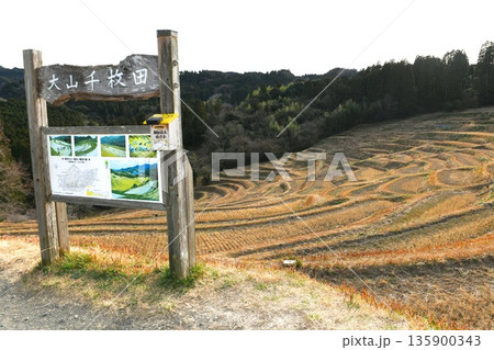 【鴨川市　急傾斜地に375枚が階段状に並ぶ棚田「大山千枚田」】 135900343