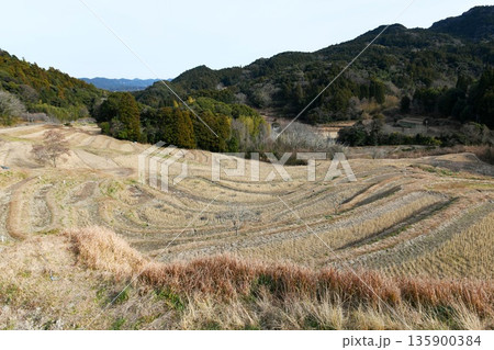 【鴨川市 急傾斜地に375枚が階段状に並ぶ棚田「大山千枚田」】 【鴨川市 急傾斜地に375枚が階段状に並ぶ棚田「大山千枚田」】 135900384