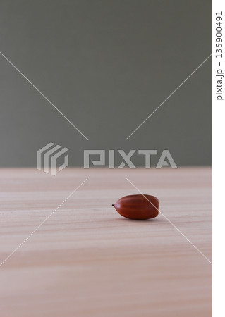 秋イメージ 背景(どんぐり ひとつ アップ)【シンプル ナチュラル コピースペース】 秋イメージ 背景(どんぐり ひとつ アップ)【シンプル ナチュラル コピースペース】 135900491