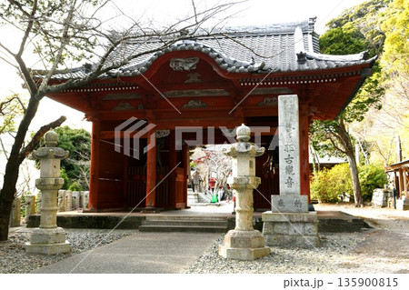 【館山市 坂東三十三観音第33番札所(結願寺)「那古寺」仁王門】 【館山市 坂東三十三観音第33番札所(結願寺)「那古寺」仁王門】 135900815
