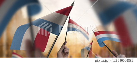 Luxembourg flags in their hands on a blurred urban background 135900883