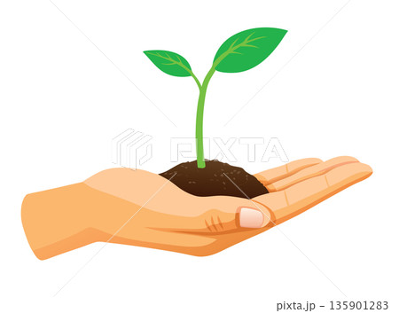 Hand is gently holding rich soil with a young plant sprouting Hand is gently holding rich soil with a young plant sprouting 135901283