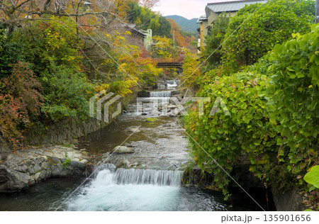 湯河原 千歳川 湯河原 千歳川 135901656