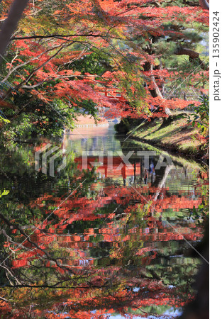 栗林公園の西湖側から東、梅林橋（赤橋）方向の紅葉を見る 135902424