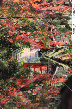 栗林公園の西湖側から東、梅林橋(赤橋)方向の紅葉を見る 栗林公園の西湖側から東、梅林橋(赤橋)方向の紅葉を見る 135902425