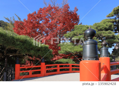 栗林公園の梅林橋(赤橋)と箱松と紅葉 栗林公園の梅林橋(赤橋)と箱松と紅葉 135902428