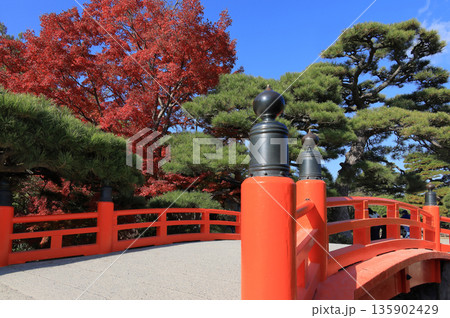 栗林公園の梅林橋(赤橋)と箱松と紅葉 栗林公園の梅林橋(赤橋)と箱松と紅葉 135902429