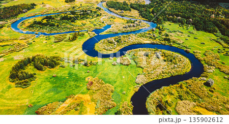 Aerial View Green Forest Woods And River Landscape In Sunny Spring Summer Day. Top View Of Beautiful European Nature From High Attitude In Autumn Season. Drone View. Bird's Eye View 135902612