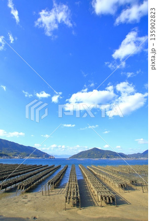 牡蠣養殖が盛んな瀬戸の海 (江田島市) 135902823