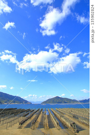 牡蠣養殖がんな瀬戸の海 (江田島市) 135902824