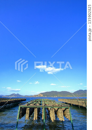 牡蠣養殖が盛んな瀬戸の海 (江田島市) 牡蠣養殖が盛んな瀬戸の海 (江田島市) 135902825