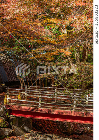 岡崎市のくらがり渓谷の風景(愛知県) 岡崎市のくらがり渓谷の風景(愛知県) 135903223