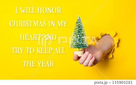 Person holding a small Christmas tree in their hand Person holding a small Christmas tree in their hand 135903281