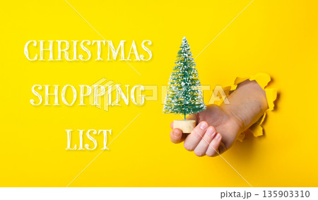 A Christmas tree is being held up by a person 135903310