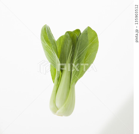 ちんげん菜1 135903512