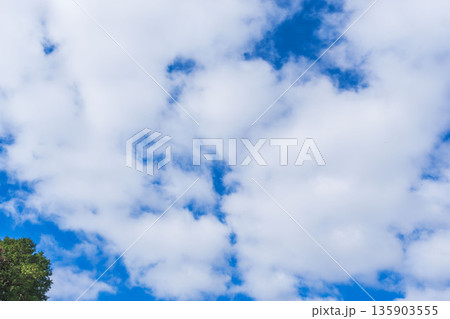 秋の終わりの空と雲を山から見上げる04 135903555