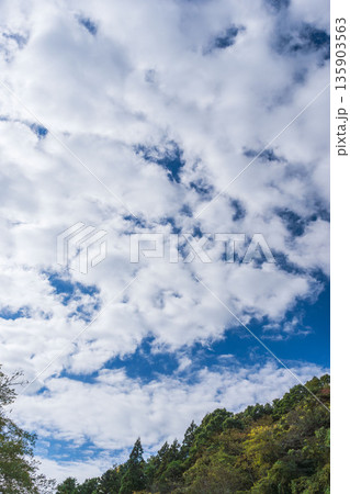 秋の終わりの空と雲を山から見上げる09 秋の終わりの空と雲を山から見上げる09 135903563
