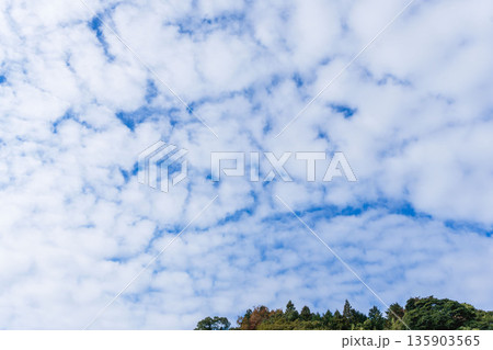秋の終わりの空と雲を山から見上げる11 秋の終わりの空と雲を山から見上げる11 135903565