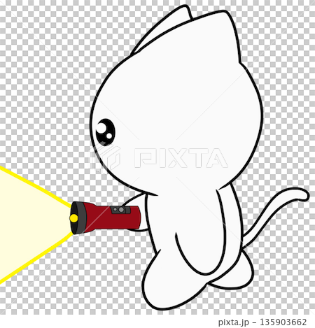 手電筒照明 135903662