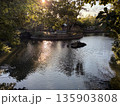 正月三が日の冬の寒い日の神池の風景 135903808