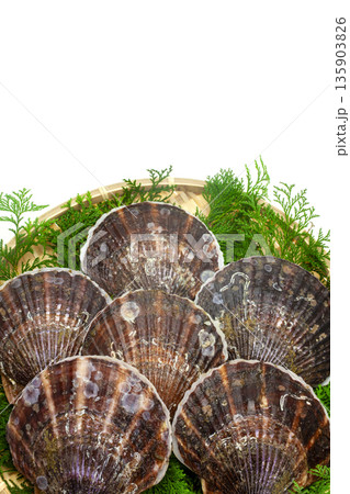 笊に入れた三陸産のホタテ貝 135903826