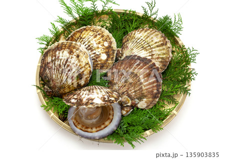 笊に入れた三陸産のホタテ貝 135903835