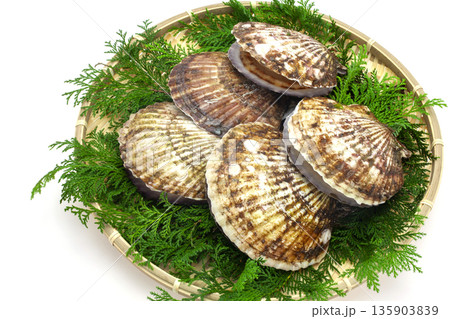 笊に入れた三陸産のホタテ貝 135903839