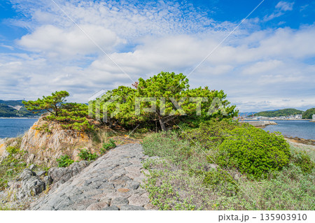 蒲郡市の西浦にある松島の風景(愛知県) 135903910