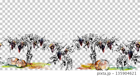 Seamless banner of rustic wine barrels under grapevines with hanging ripe clusters, tendrils and leaves. Isolated illustration hand drawn in watercolor and ink for winery branding, menus, brochures 135904621