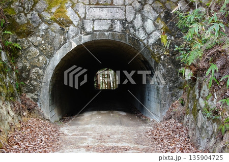 大澤隧道 大澤隧道 135904725