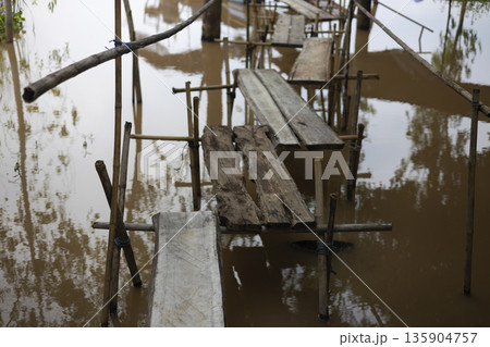 Temporary Bamboo Framed Wooden Walkway In Flood, a documentary photo showing villagers building a simple walkway to adapt and survive during rising floodwaters. Temporary Bamboo Framed Wooden Walkway In Flood, a documentary photo showing villagers building a simple walkway to adapt and survive during rising floodwaters. 135904757