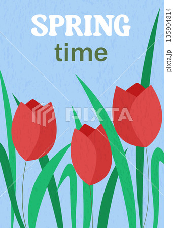 Spring time card with scarlet tulips on blue background Spring time card with scarlet tulips on blue background 135904814