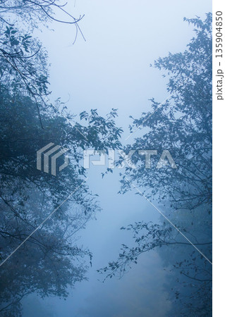 秋の山　霧に覆われた木々10 135904850