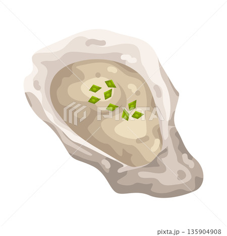 Illustration of oyster 135904908