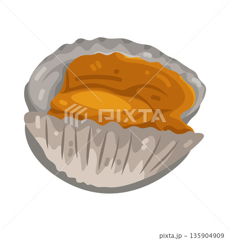 Illustration of pigeon cockle 135904909