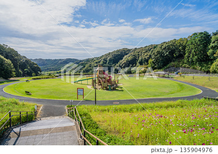 袋井市のみつかわ夢の丘公園のコスモスの風景(静岡県) 袋井市のみつかわ夢の丘公園のコスモスの風景(静岡県) 135904976