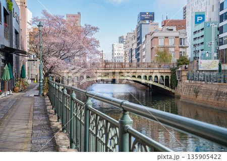 冬の納屋橋、満開の四季桜〈愛知県名古屋市〉 冬の納屋橋、満開の四季桜〈愛知県名古屋市〉 135905422