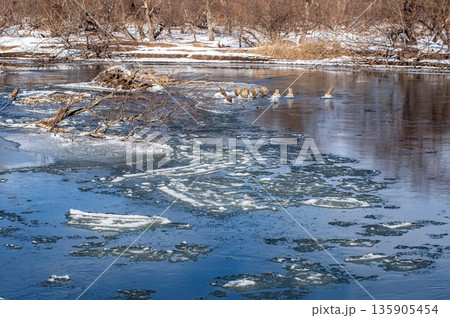 釧路川とアレキナイ川が合流 135905454