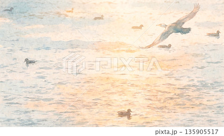 朝日に輝く湖面と鴨 朝日に輝く湖面と鴨 135905517