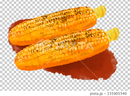 焼きとうもろこしのイラスト 焼きとうもろこしのイラスト 135905540