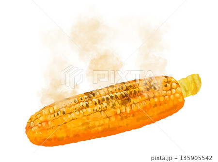 あつあつの焼きとうもろこしのイラスト 135905542